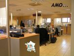 Amo lyon