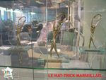 MARSEILLE LE TRESOR