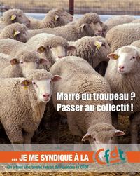 CFDT 2011 Moutons
